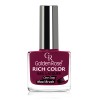 GOLDEN ROSE Rich Color Nail Lacquer 10.5ml - 30